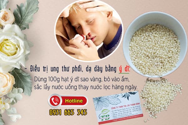 hạt ý dĩ bo bo Thảo Dược Thanh Bình
