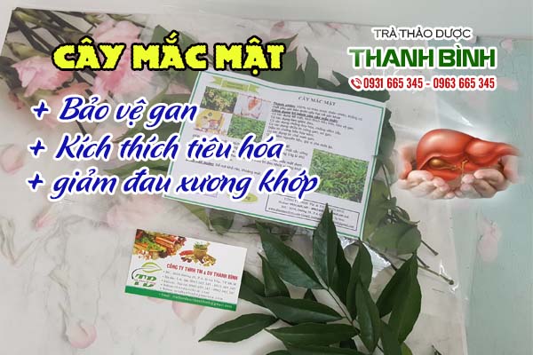 Cây mắc mật Thảo dược Thanh Bình