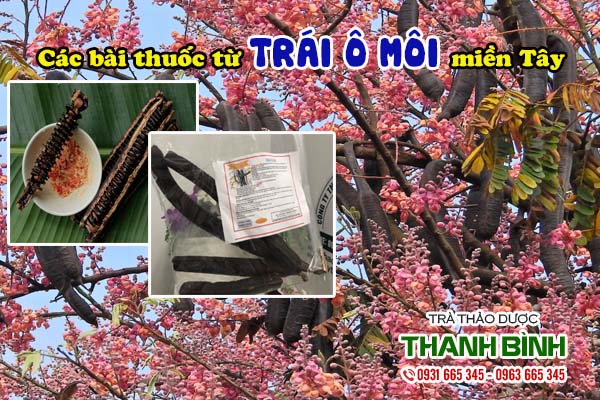 Trái ô môi Thảo dược Thanh Bình