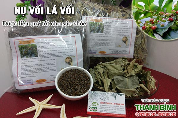 Nụ vối lá vối Thảo Dược Thanh Bình