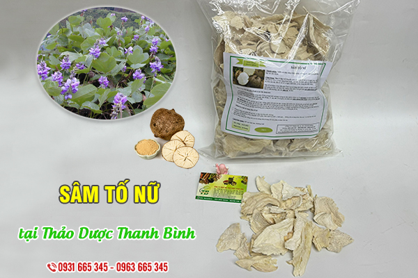 Sâm tố nữ Thảo Dược Thanh Bình