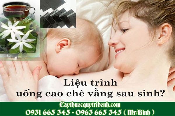 cao chè vằng thanh bình