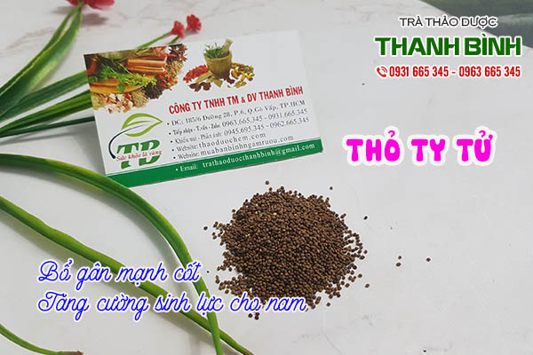 thỏ ty tử thảo dược thanh bình
