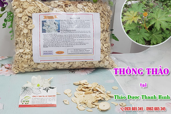 Thông thảo Thảo Dược Thanh Bình