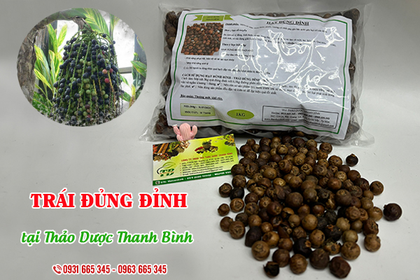 Trái đủng đỉnh Thảo Dược Thanh Bình