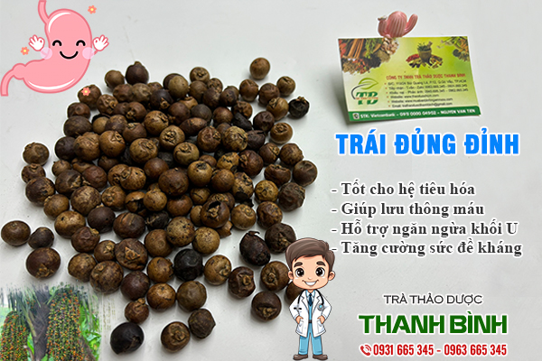 Trái đủng đỉnh Thảo Dược Thanh Bình
