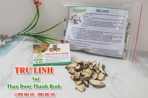 Trư linh Thảo Dược Thanh Bình