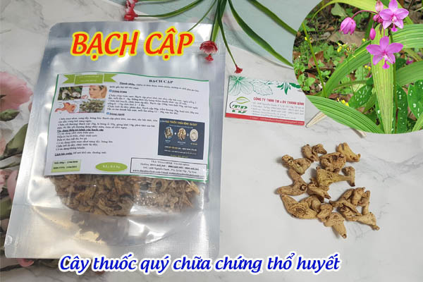 Bạch cập