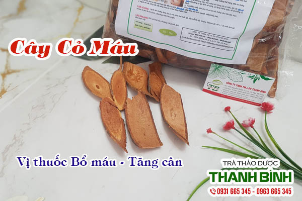 Cây cỏ máu