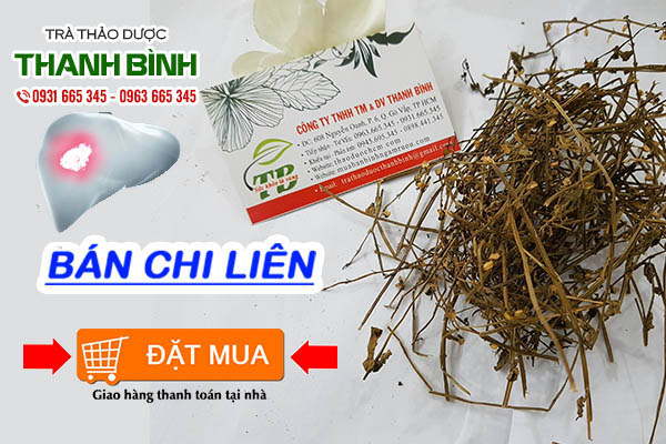 ban-chi-lien-thanh-binh