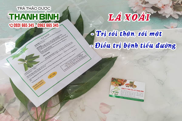 Lá xoài Thảo dược Thanh Bình