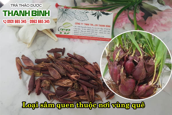 Sâm đại hành thảo dược Thanh Bình
