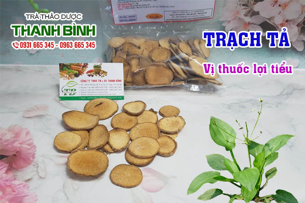 Trạch tả Thảo dược Thanh Bình