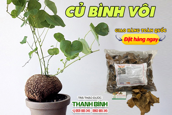 cu-binh-voi-thanh-binh-1