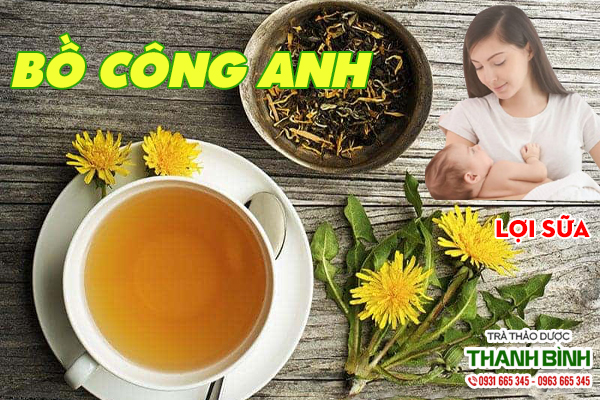 bo-cong-anh-thanh-binh