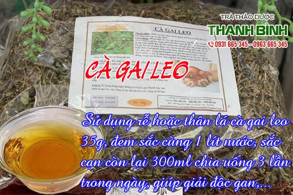 ca-gai-leo-thanh-binh-3