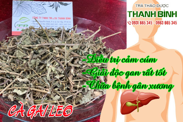 ca-gai-leo-thanh-binh-2
