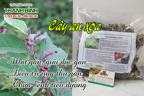 cay-an-xoa-kho-thao-duoc-thanh-binh-2