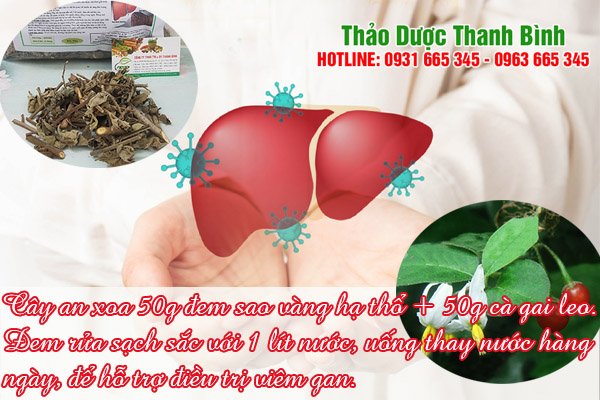 cay-an-xoa-kho-thao-duoc-thanh-binh-1
