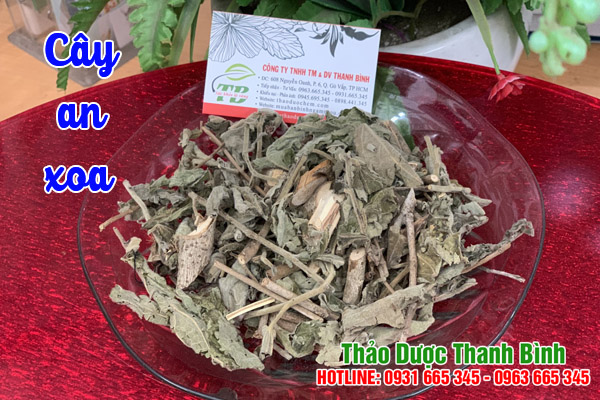 cay-an-xoa-thao-duoc-thanh-binh