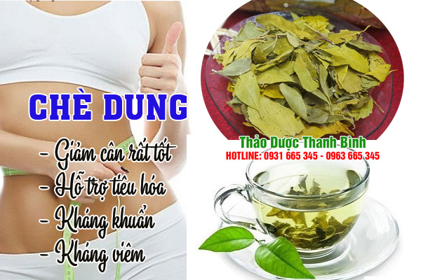 cay-che-dung-kho-tai-thao-duoc-thanh-binh
