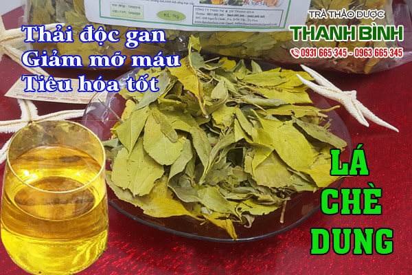 cay-che-dung-kho-tai-thao-duoc-thanh-binh-3