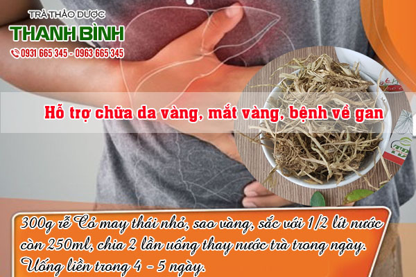 cay-co-may-kho-tai-thao-duoc-thanh-binh-1