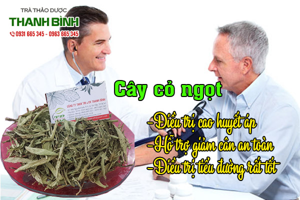 cay-co-ngot-kho-thao-duoc-thanh-binh-1