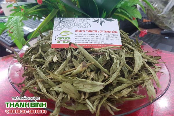 co-ngot-thao-duoc-thanh-binh-1