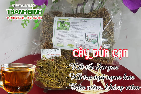 cay-dua-can-kho-thao-duoc-thanh-binh-3