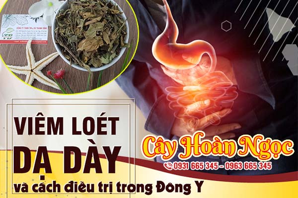 cay-hoan-ngoc-thanh-binh