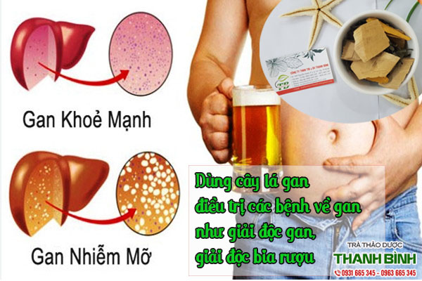 cay-la-gan-thanh-binh