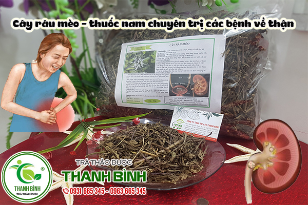 cay-rau-meo-thanh-binh
