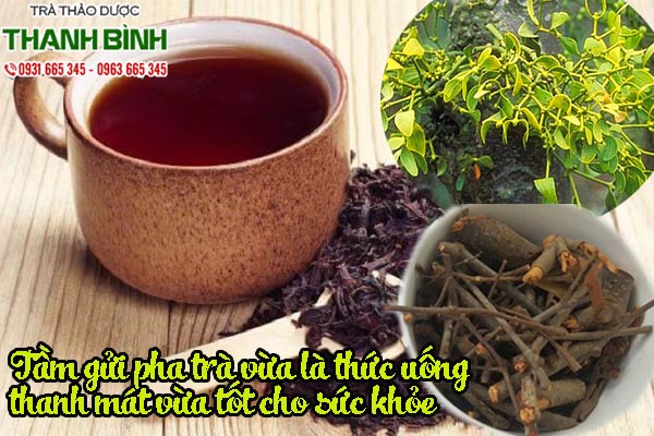 cay-tam-gui-thanh-binh-2