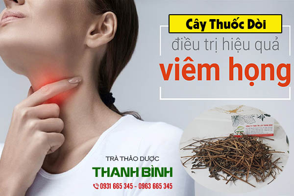 cay-thuoc-doi-thanh-binh