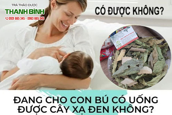 cay-xa-den-thanh-binh