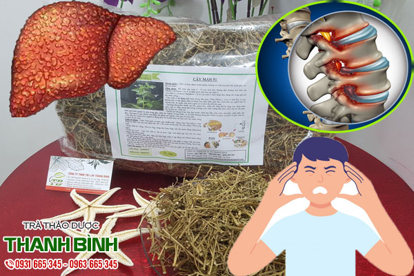 cay-man-ri-thanh-binh