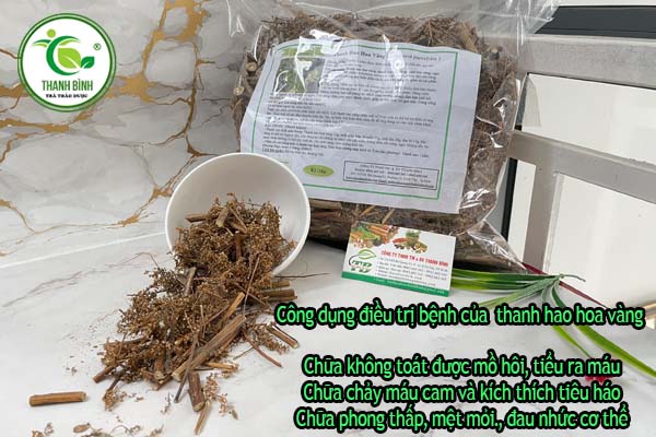 Thanh Hao Hoa Vàng Thảo dược Thanh Bình