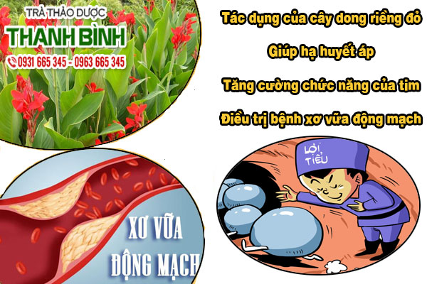 Tắc Kè Khô Thảo dược Thanh Bình
