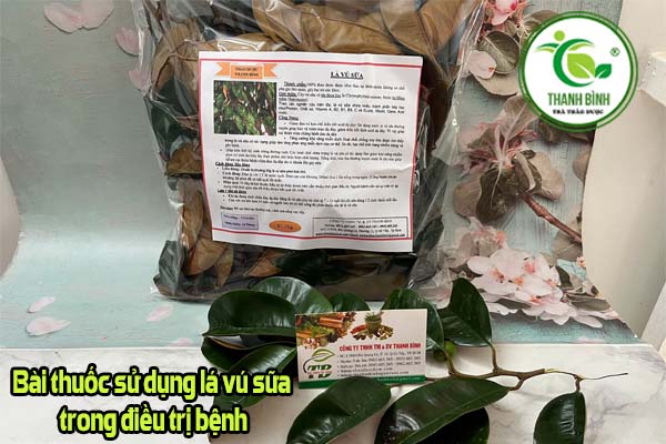 Lá Vú Sữa Thảo dược Thanh Bình