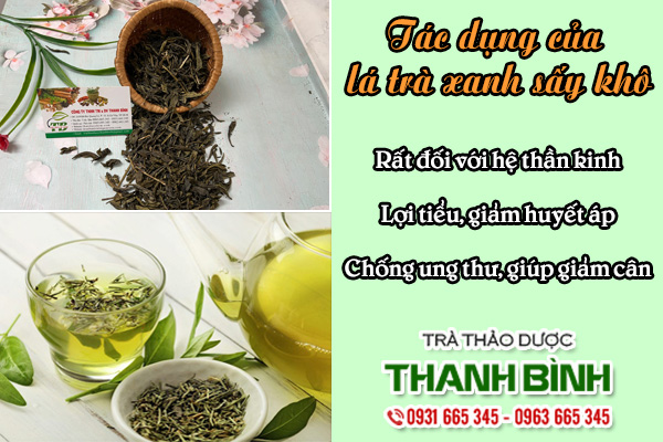 Lá Trà Xanh Sấy Khô Thảo dược Thanh Bình