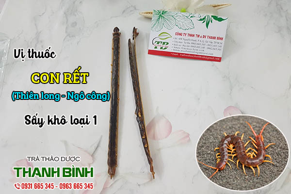 con rết thảo dược thanh bình