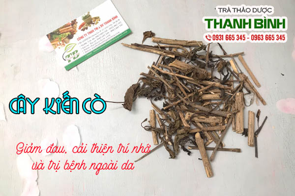 cay-kien-co-thanh-binh-2