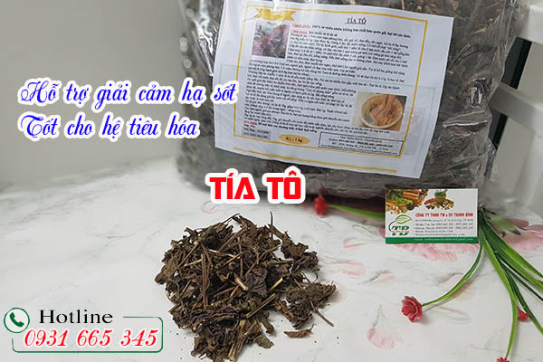 tía tô thảo dược thanh bình