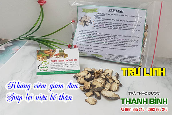 trư linh thảo dược thanh bình