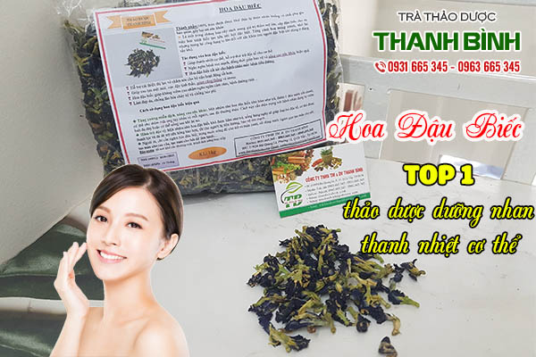 hoa đậu biếc thảo dược thanh bình