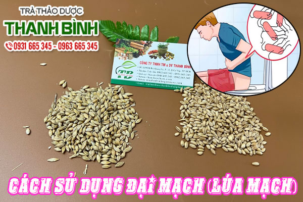 Tắc Kè Khô Thảo dược Thanh Bình