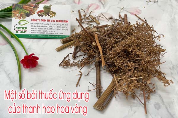 Thanh Hao Hoa Vàng Thảo dược Thanh Bình