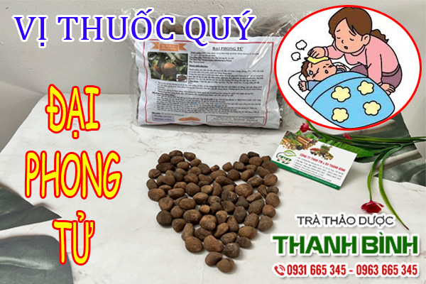 Đại Phong Tử Thảo dược Thanh Bình