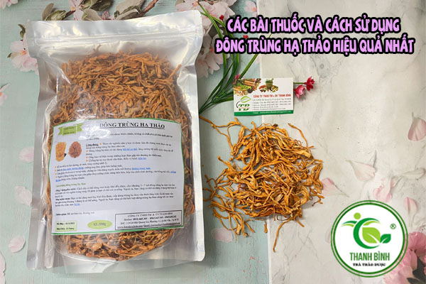 Đông Trùng Hạ Thảo Thảo dược Thanh Bình